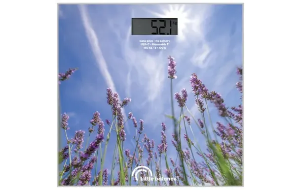 LITTLE BALANCE PESE  8842